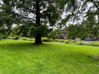 Photo of Picturesque view of park with beautiful trees