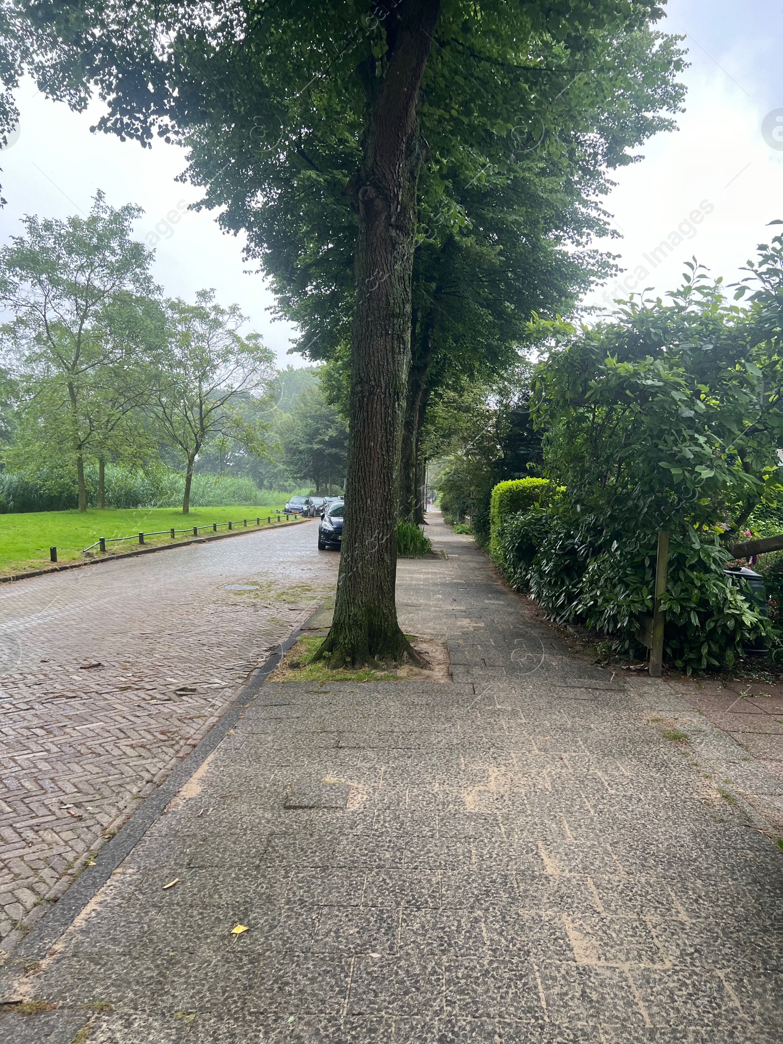 Photo of View of pavement along road near park