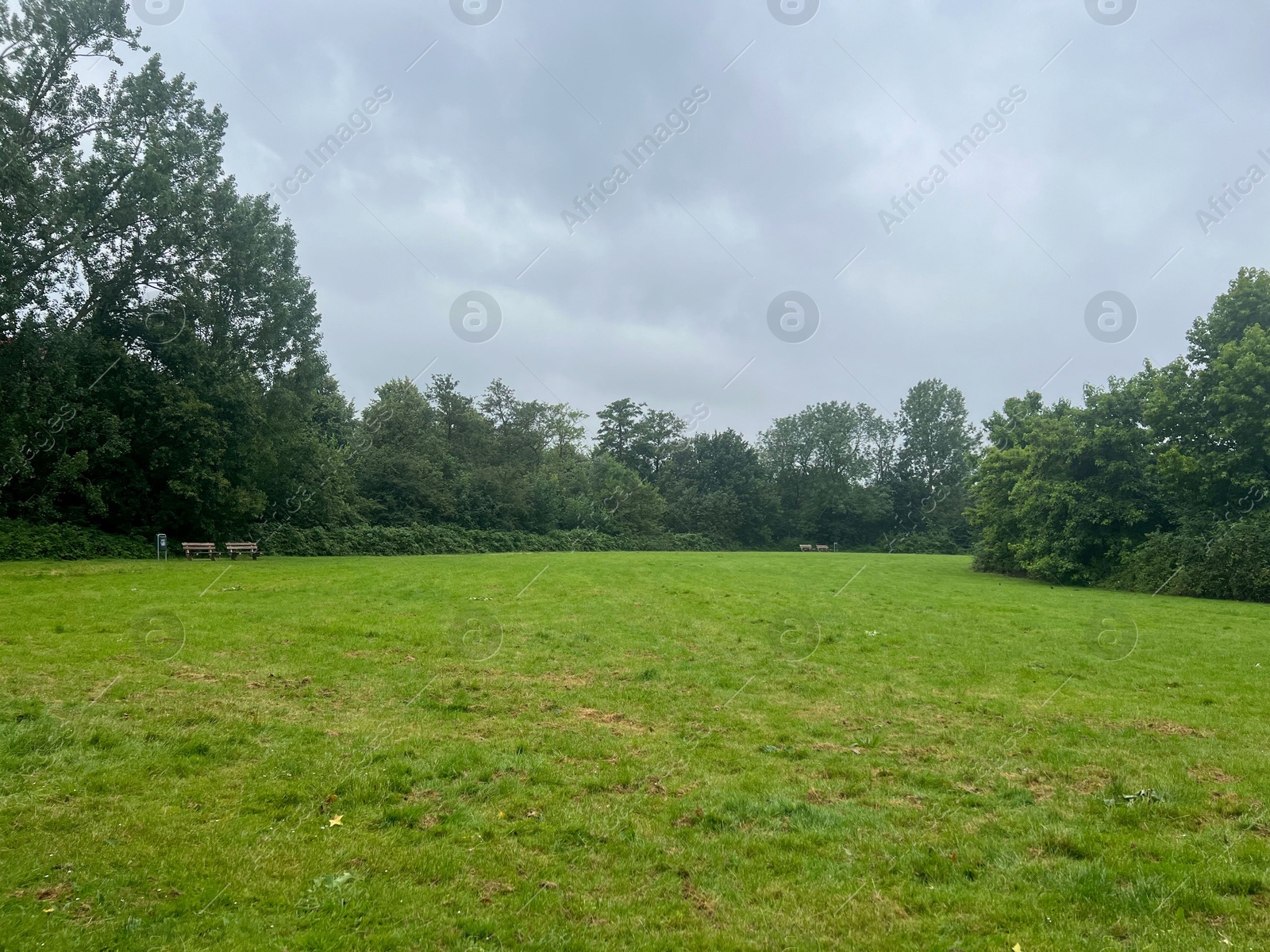 Photo of Picturesque view of beautiful park with green grass