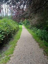 Photo of Picturesque view of beautiful park with pathway