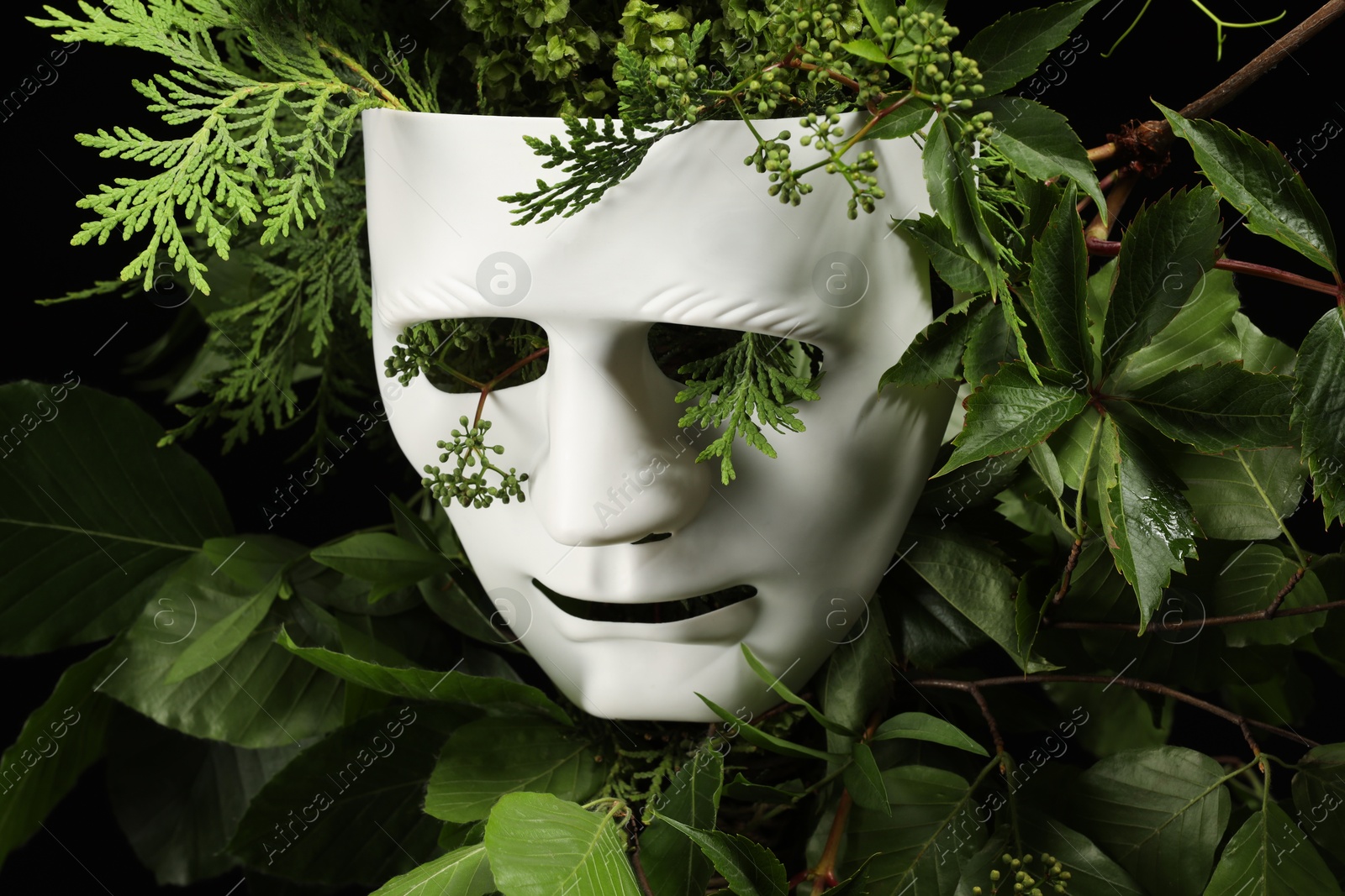 Photo of Theatrical performance. Plastic mask and floral decor on black background