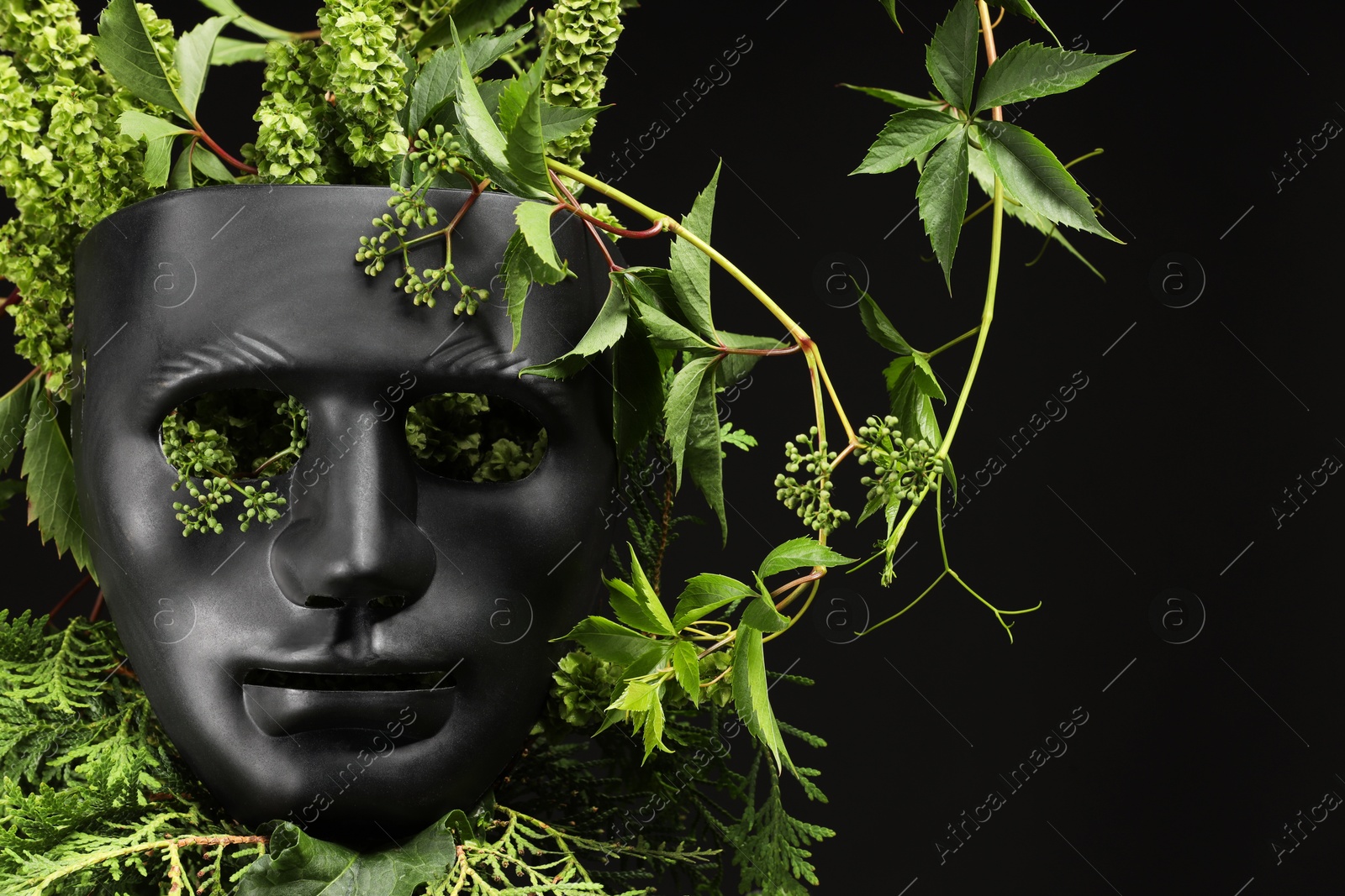 Photo of Theatrical performance. Plastic mask and floral decor on black background, space for text