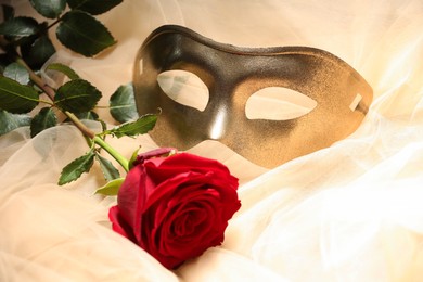 Photo of Theatrical performance. Elegant face mask and red rose on beige tulle fabric