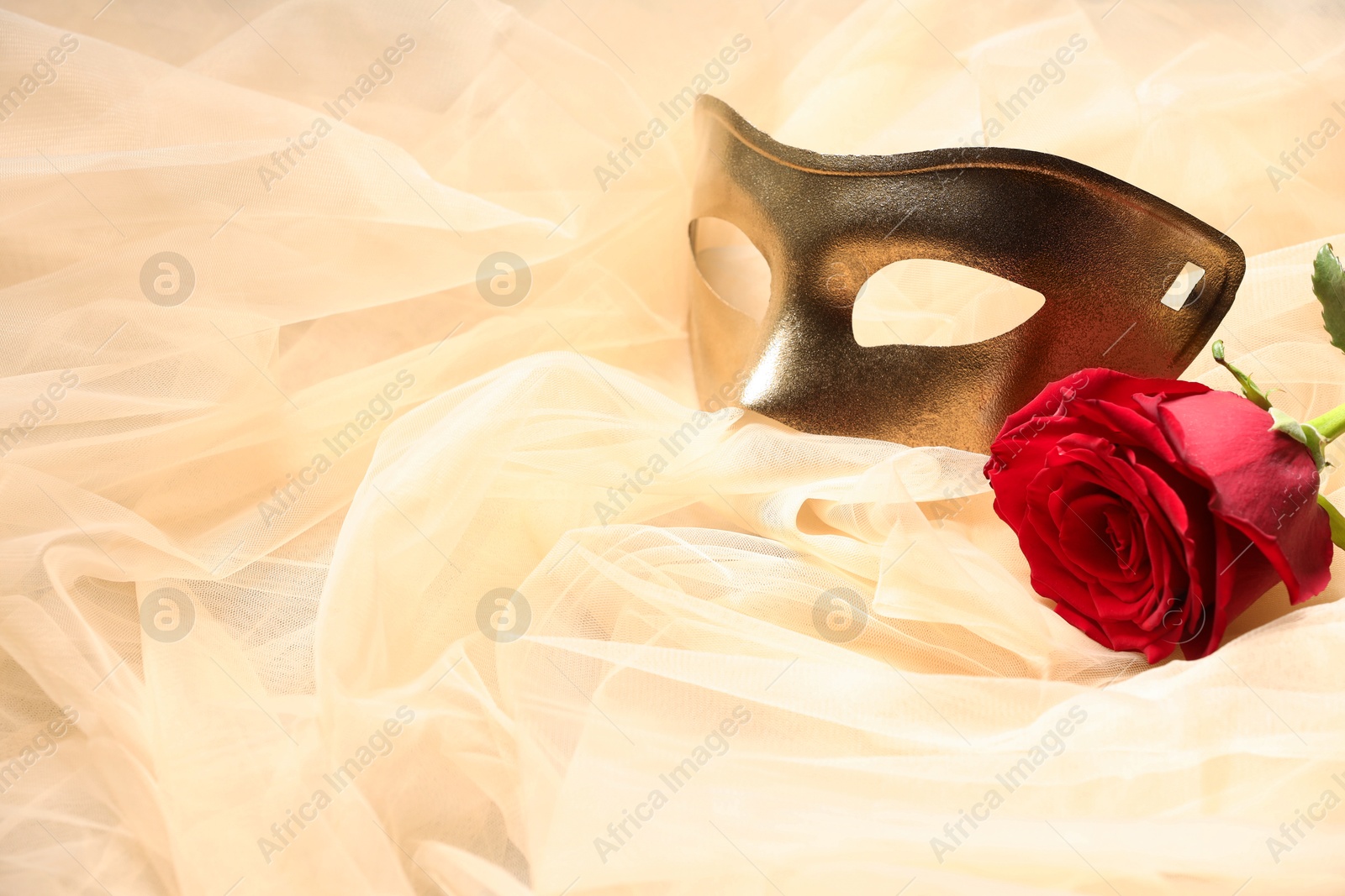 Photo of Theatrical performance. Elegant face mask and red rose on beige tulle fabric, space for text