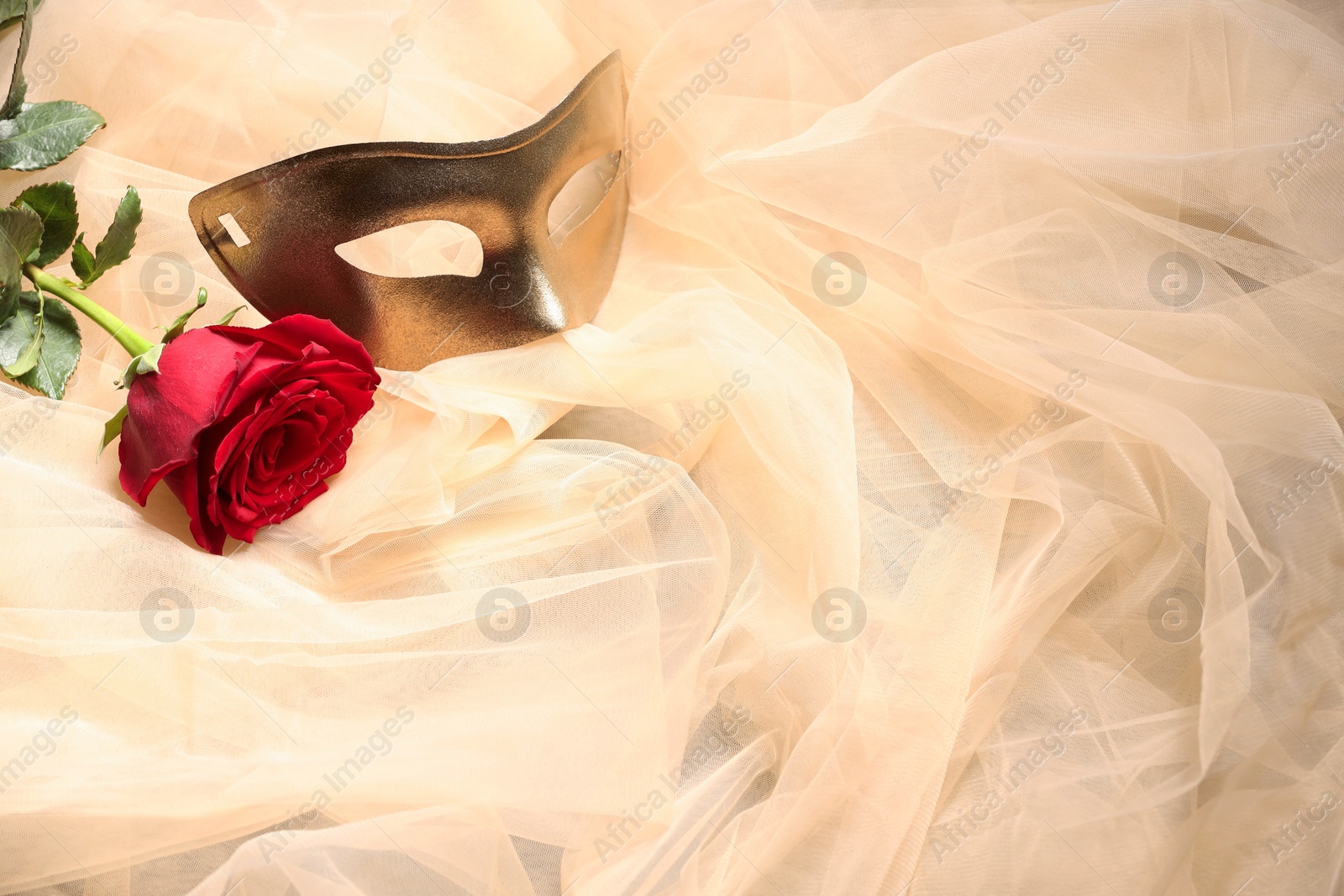 Photo of Theatrical performance. Elegant face mask and red rose on beige tulle fabric, space for text