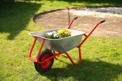 Photo of Wheelbarrow with different beautiful flowers on green grass outdoors