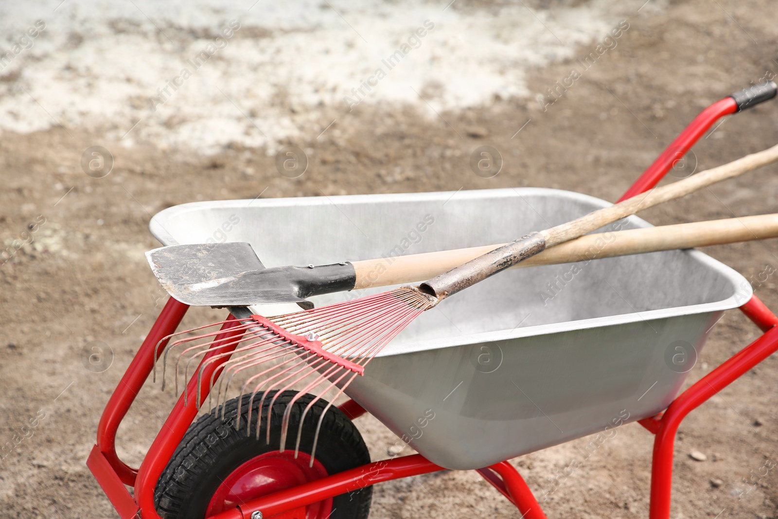 Photo of Wheelbarrow with rake and shovel outdoors. Gardening tools