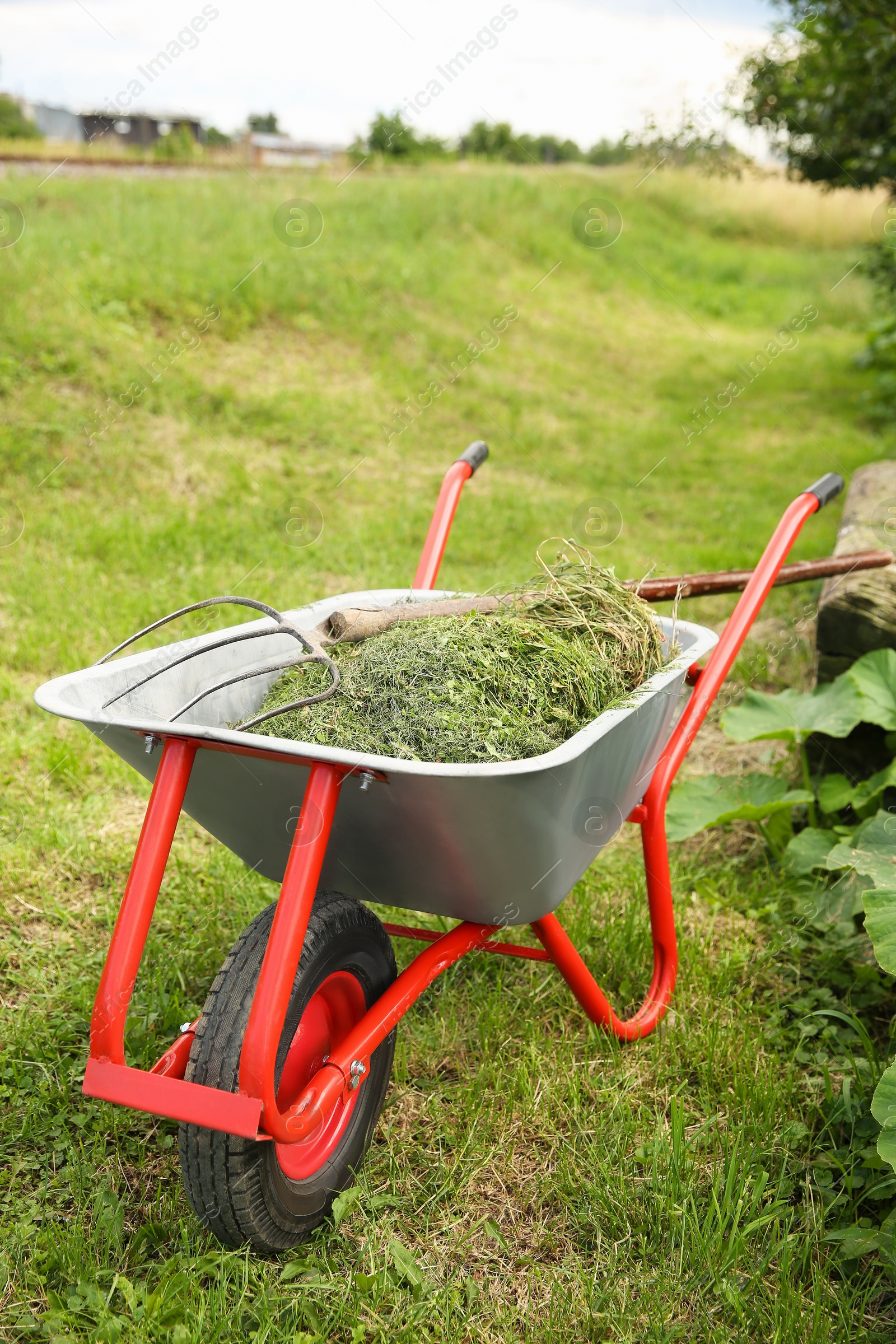 Photo of Wheelbarrow with mown grass and pitchfork outdoors