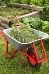 Wheelbarrow with mown grass and pitchfork outdoors