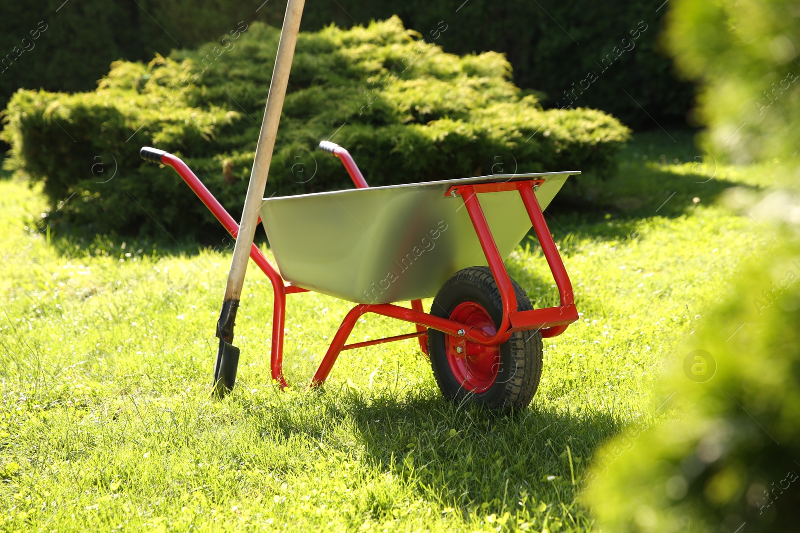 Photo of One wheelbarrow and shovel on green grass in garden