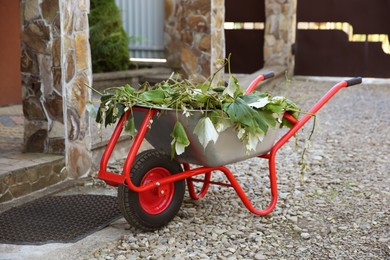 Photo of Metal wheelbarrow with green wilted leaves outdoors