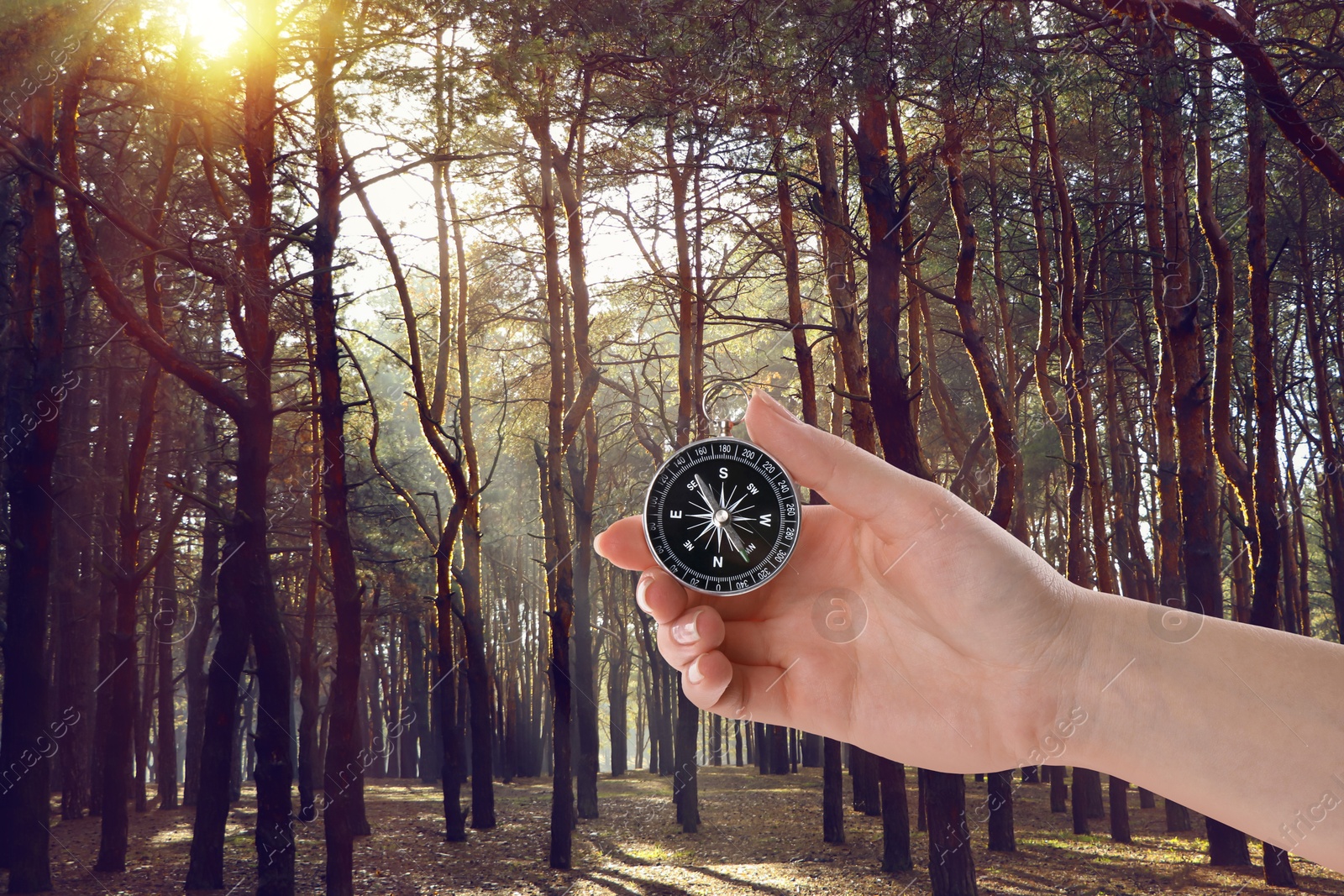 Image of Woman holding compass in sunlit forest, closeup