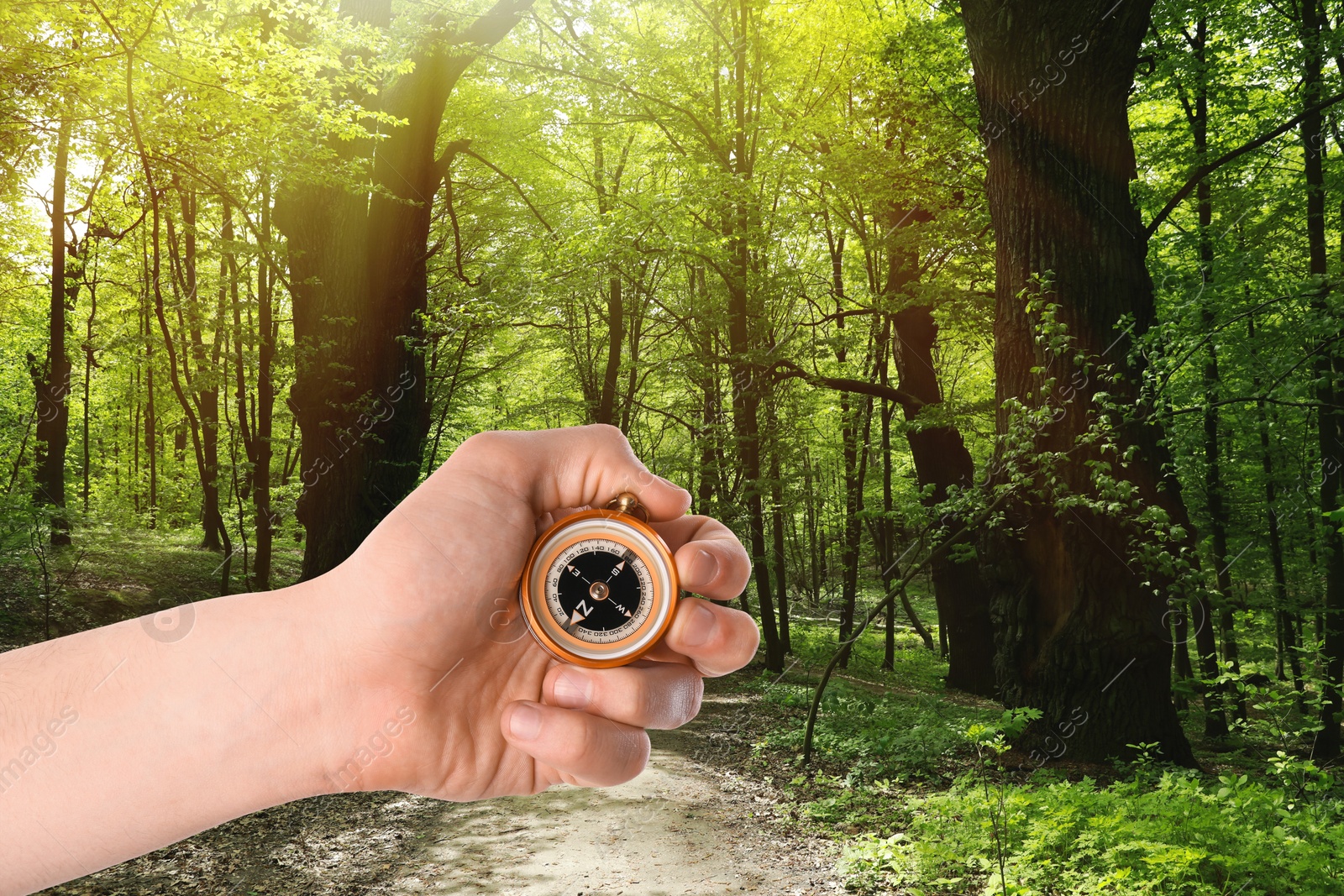 Image of Man holding compass in sunlit forest, closeup