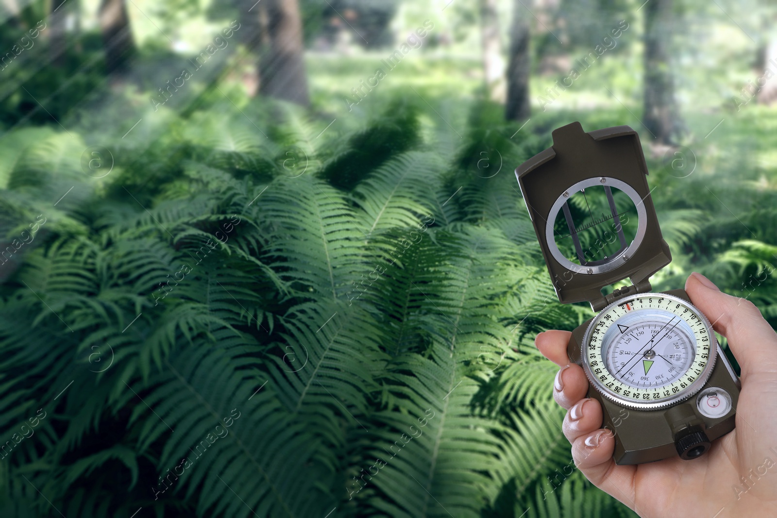 Image of Woman holding compass near fern in forest, closeup