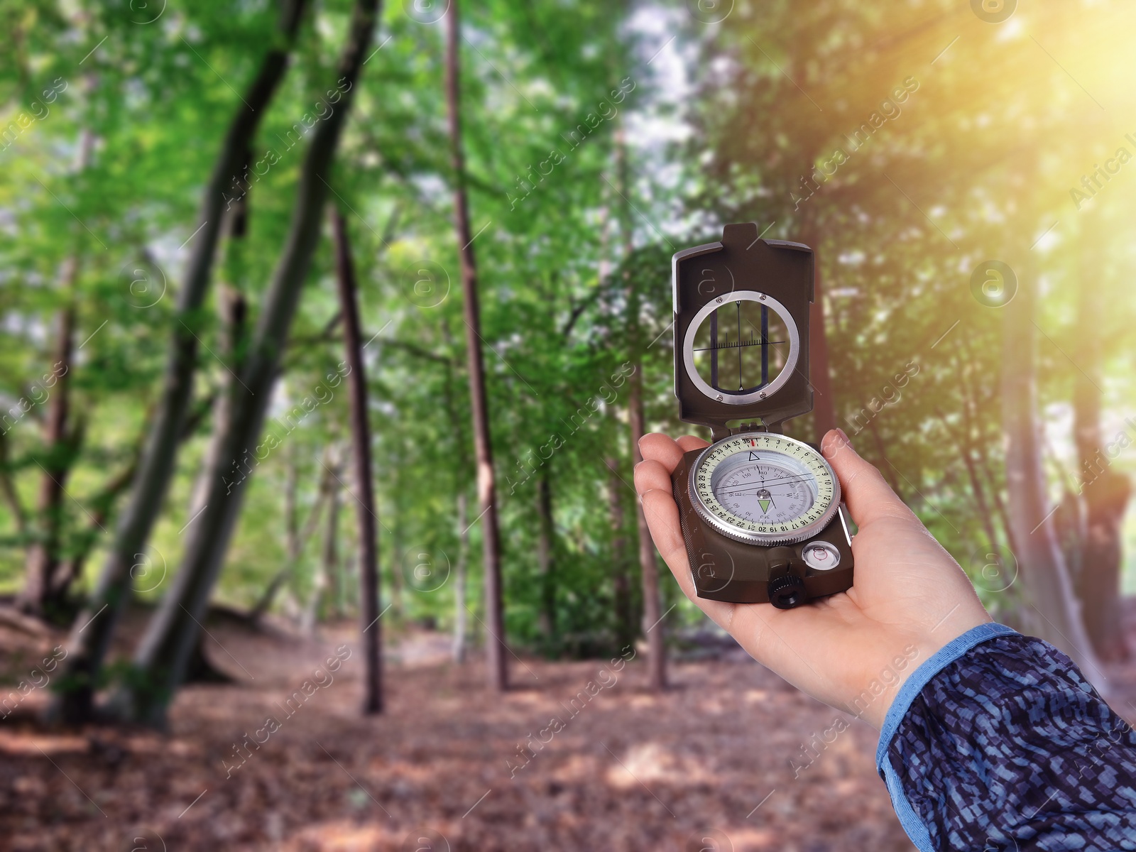 Image of Woman holding compass in beautiful forest, closeup