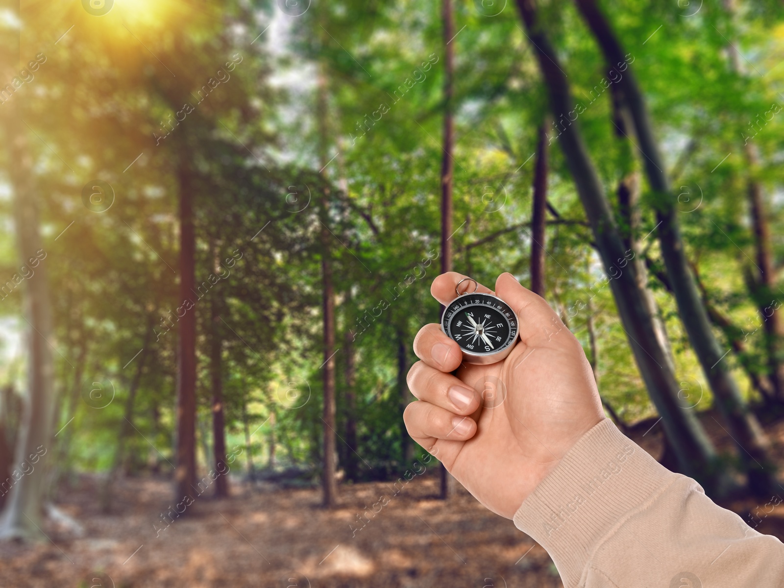 Image of Man holding compass in beautiful forest, closeup