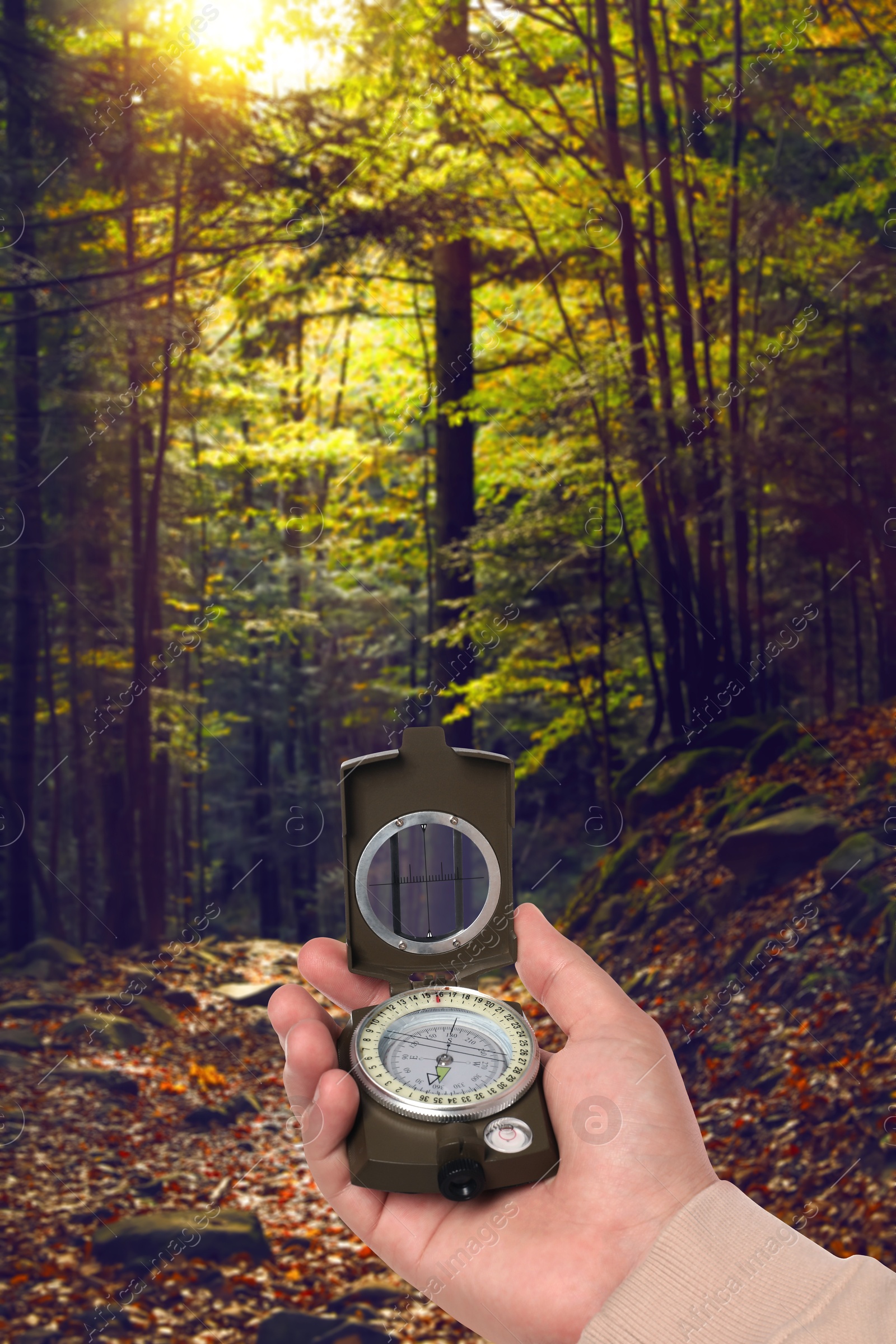 Image of Man holding compass in lush mountain forest, closeup