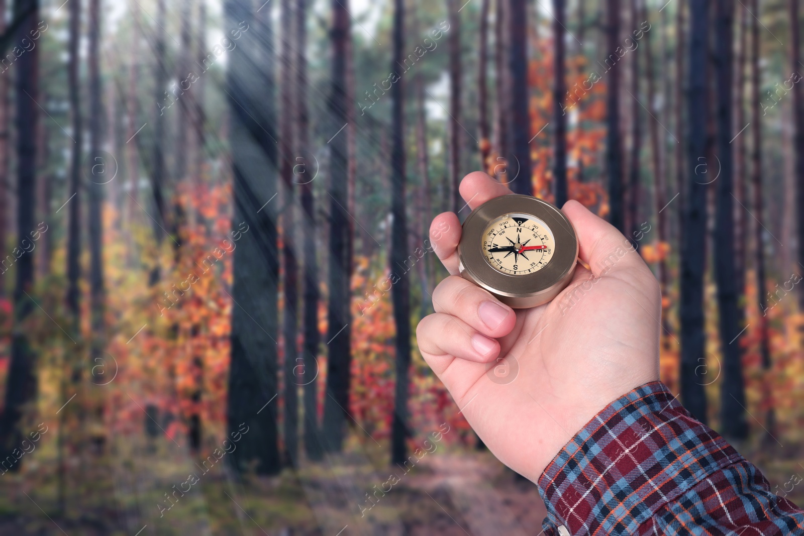 Image of Man holding compass in lush forest on autumn day, closeup