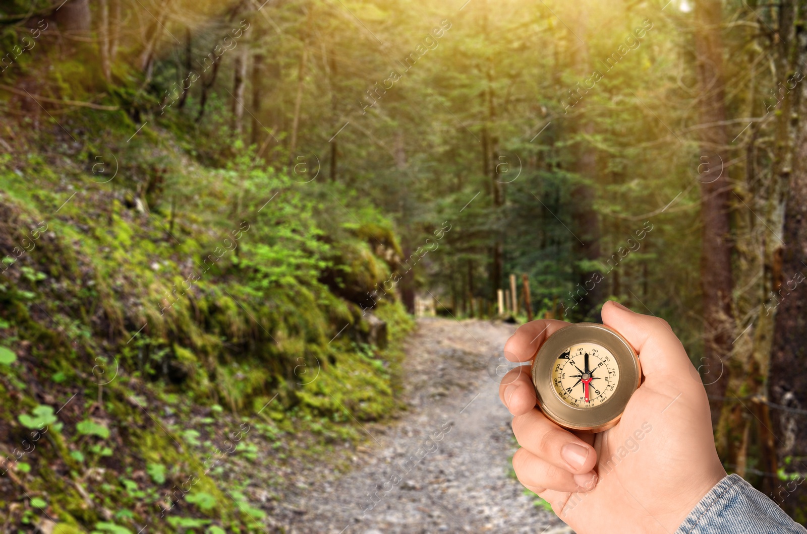 Image of Man holding compass on pathway in mountain forest, closeup