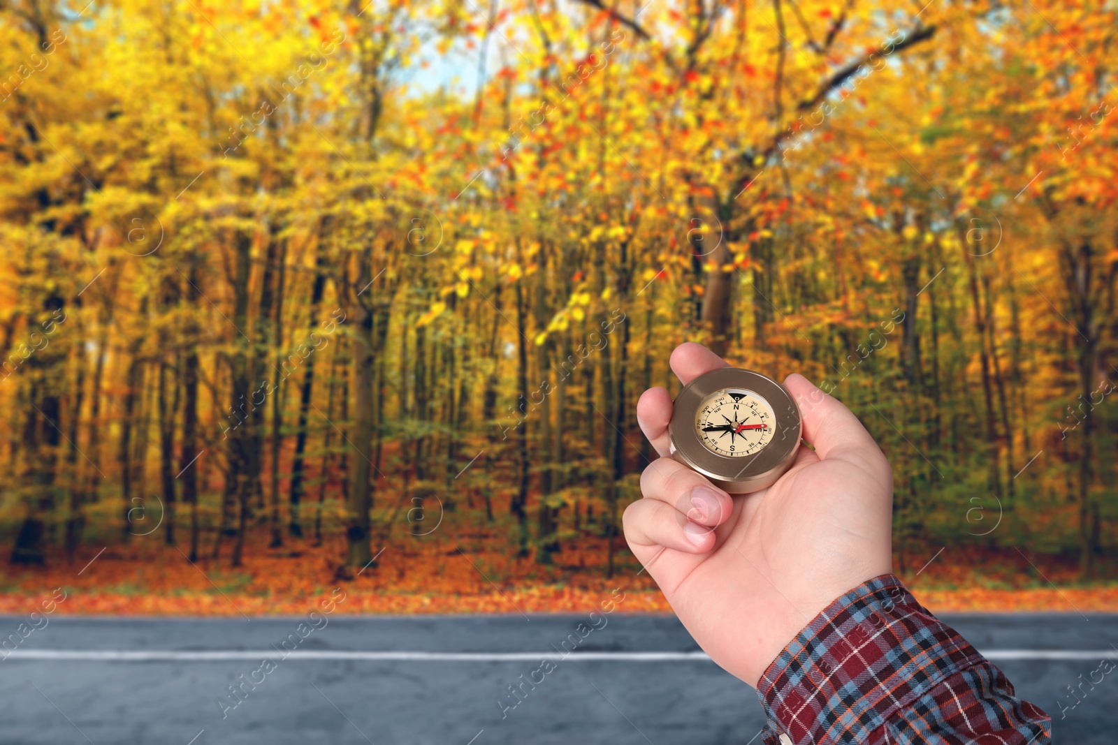 Image of Man holding compass near road going through forest in autumn, closeup