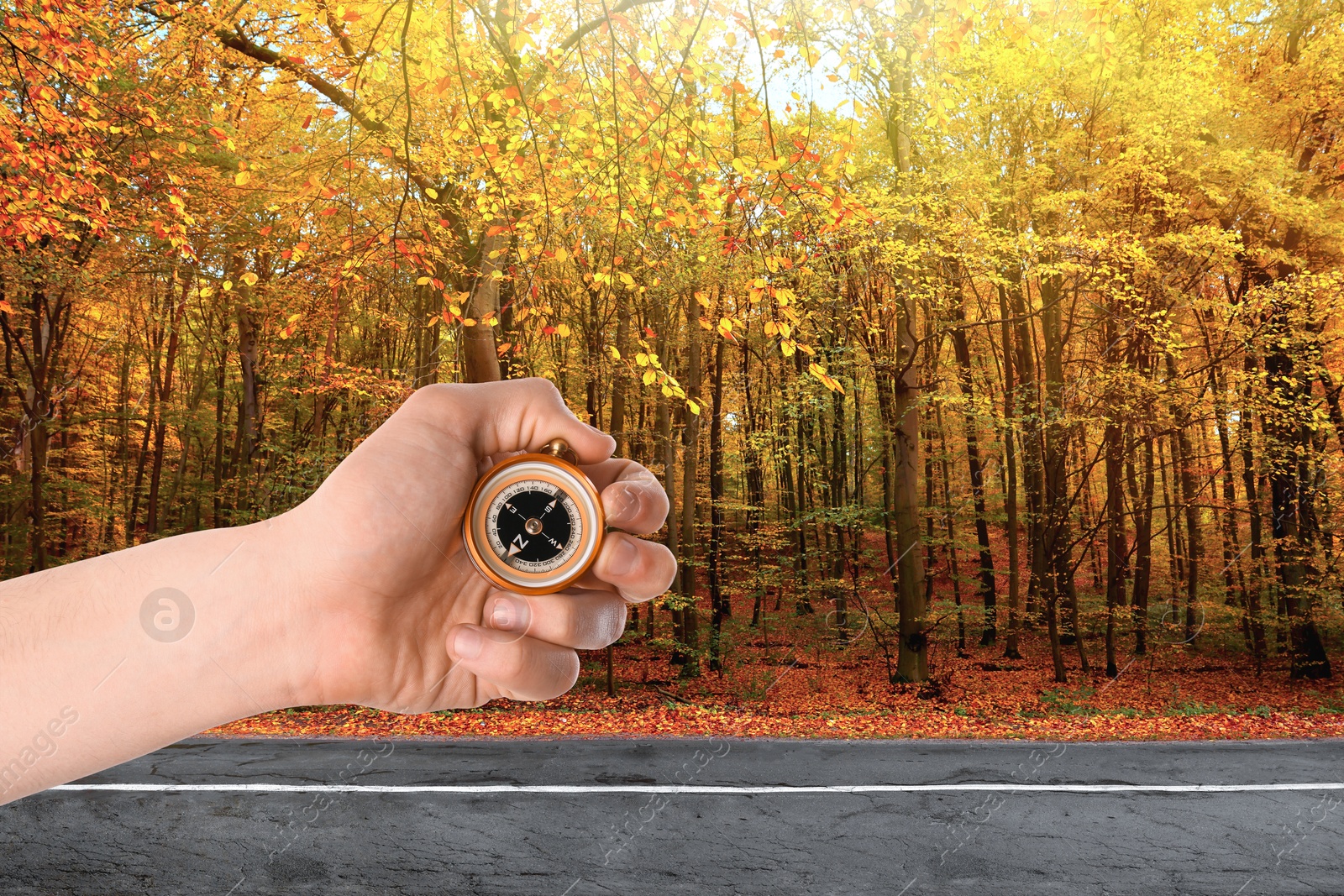 Image of Man holding compass near road going through forest in autumn, closeup