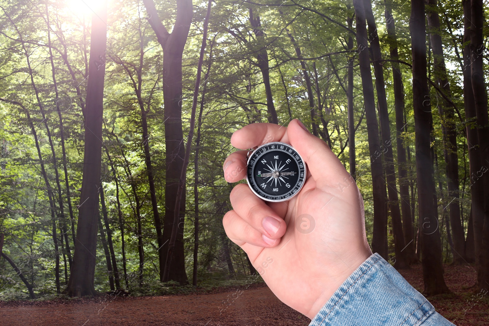 Image of Man holding compass near pathway in forest, closeup