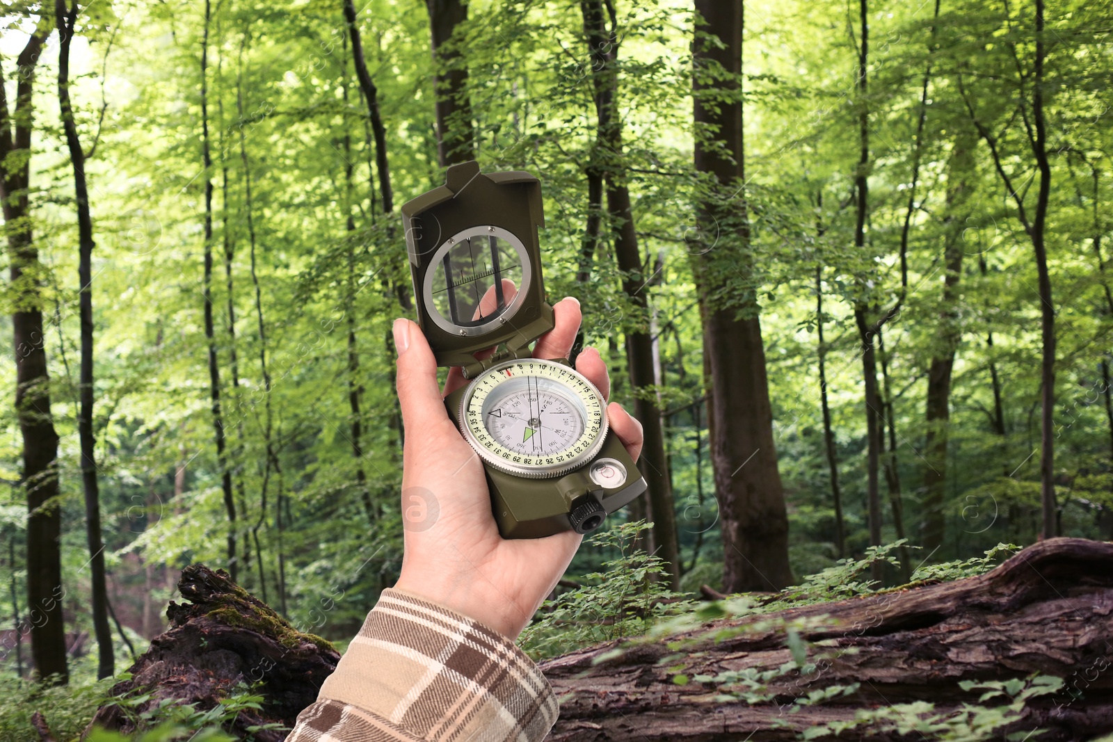 Image of Woman holding compass in lush forest, closeup