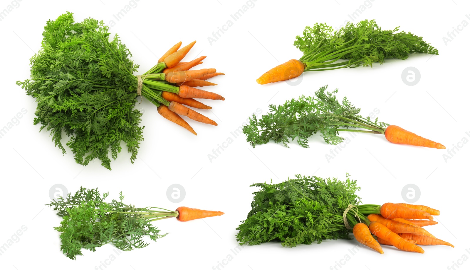 Image of Many fresh ripe carrots isolated on white, set