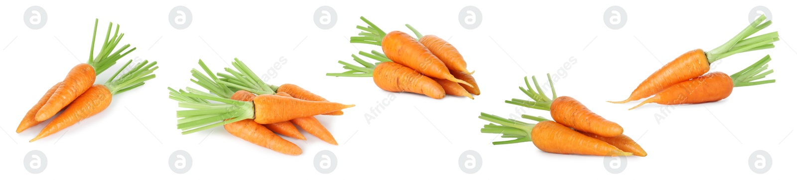 Image of Many fresh ripe carrots isolated on white, set