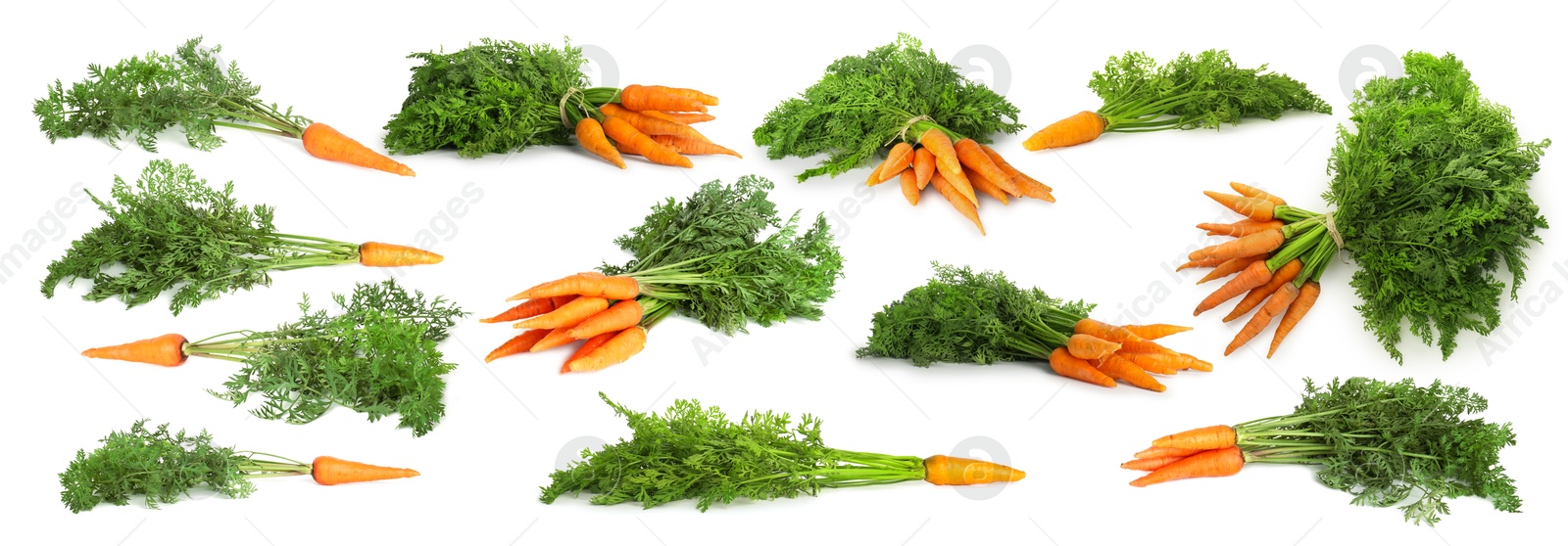 Image of Set of fresh ripe carrots isolated on white