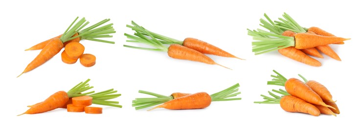 Image of Set of fresh ripe carrots isolated on white