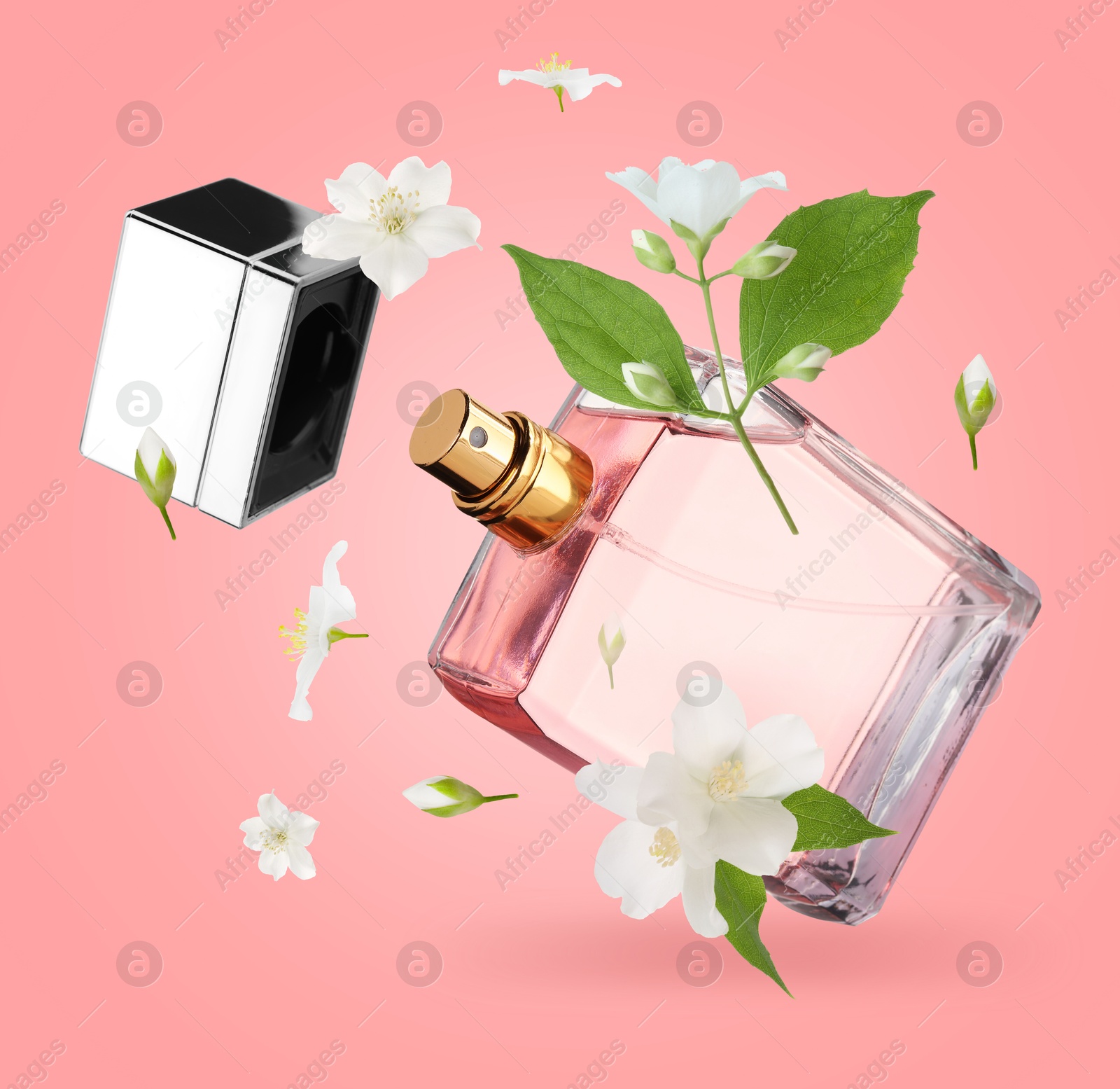 Image of Bottle of floral perfume and jasmine flowers in air on pink background