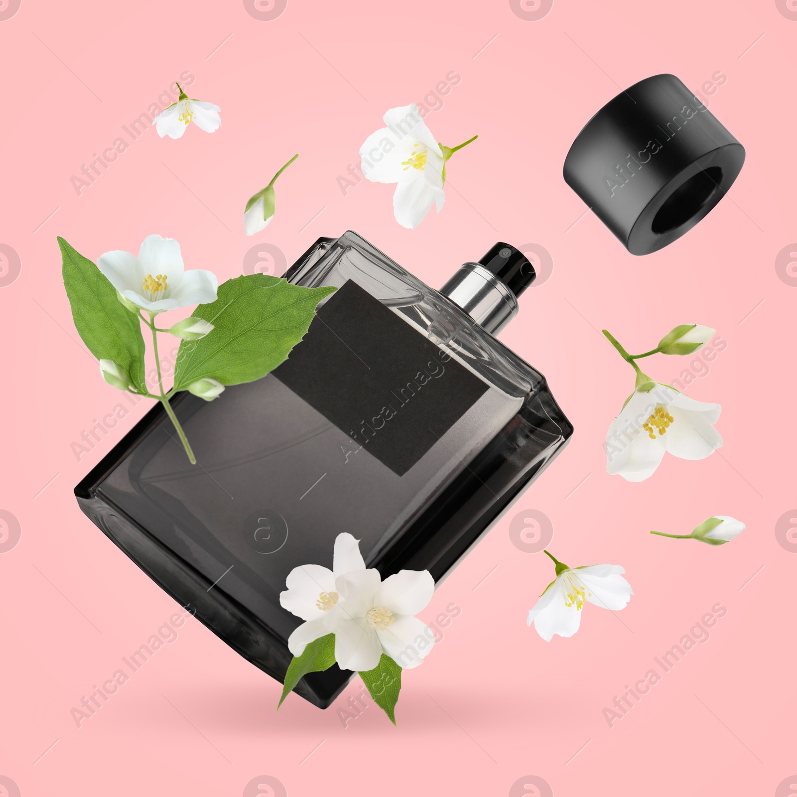 Image of Bottle of floral perfume and jasmine flowers in air on pink background