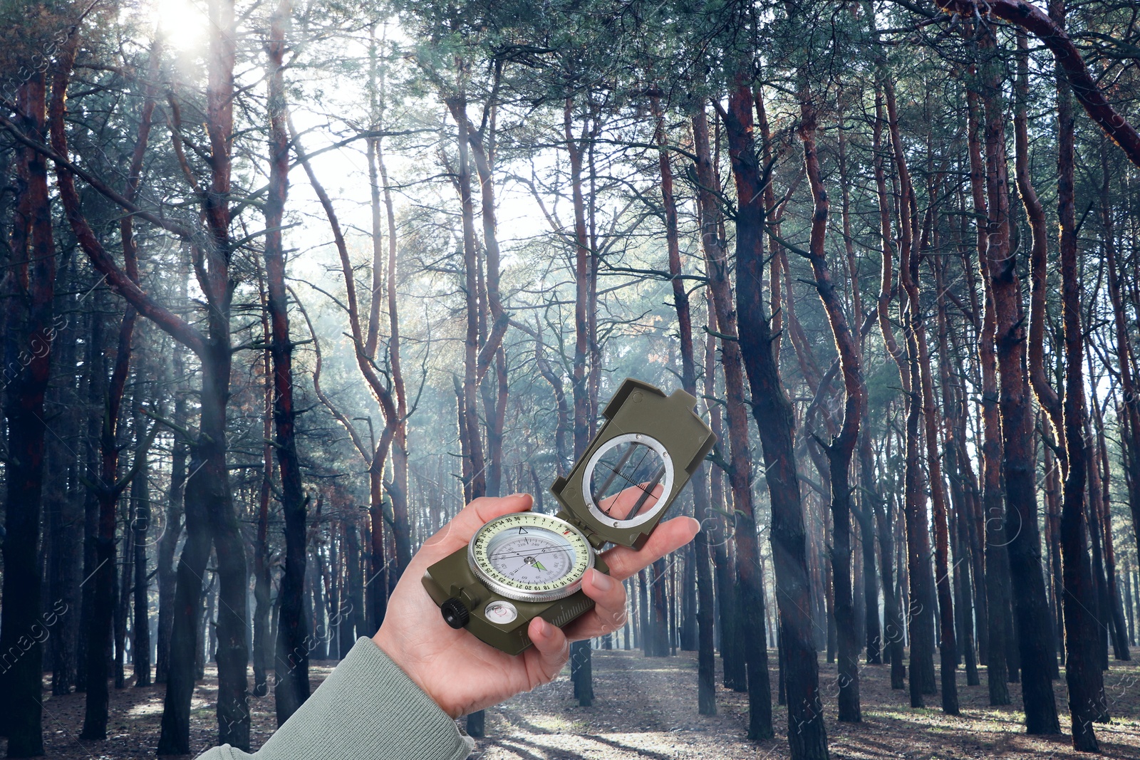 Image of Woman holding compass in sunlit forest, closeup