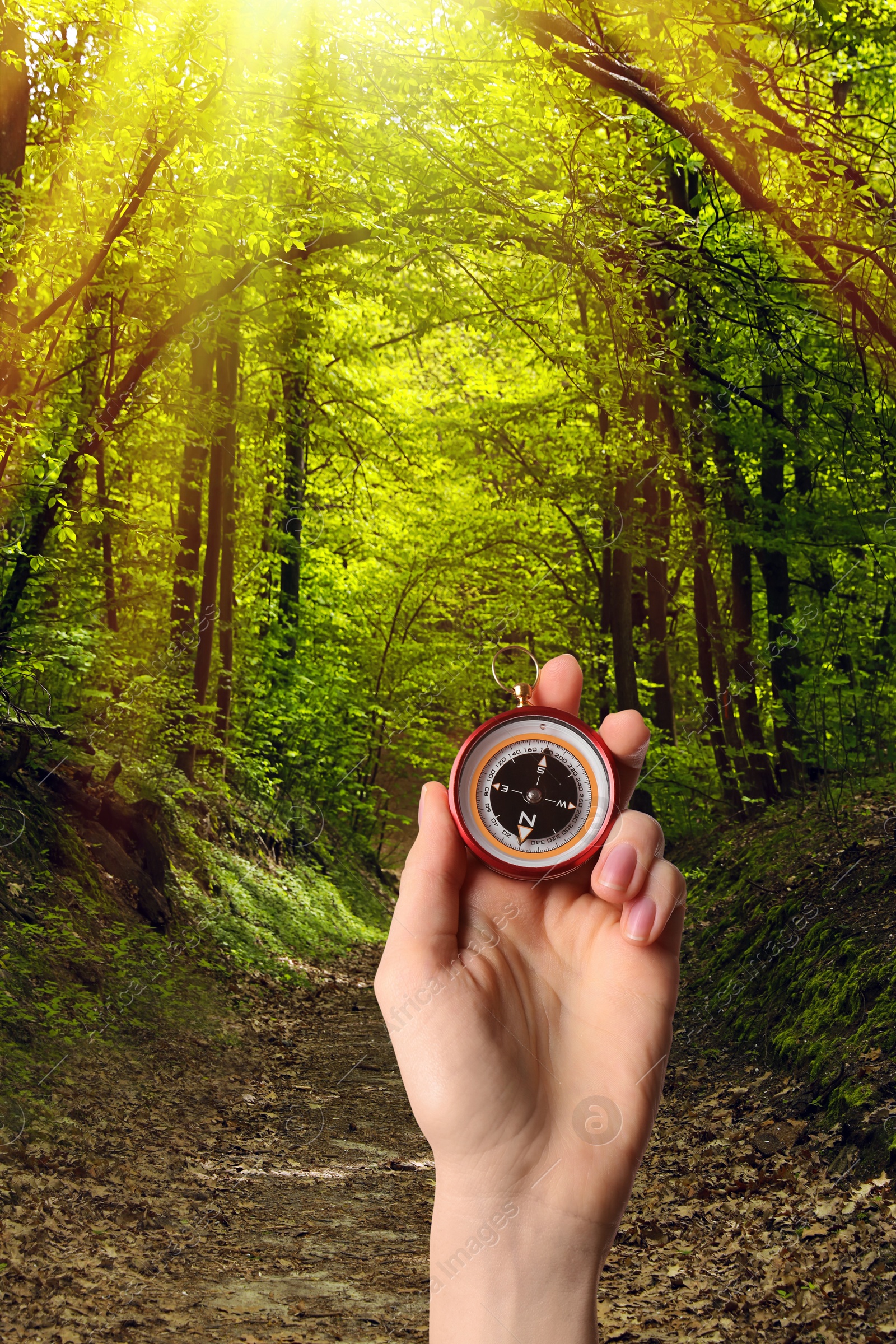 Image of Woman holding compass in sunlit forest, closeup