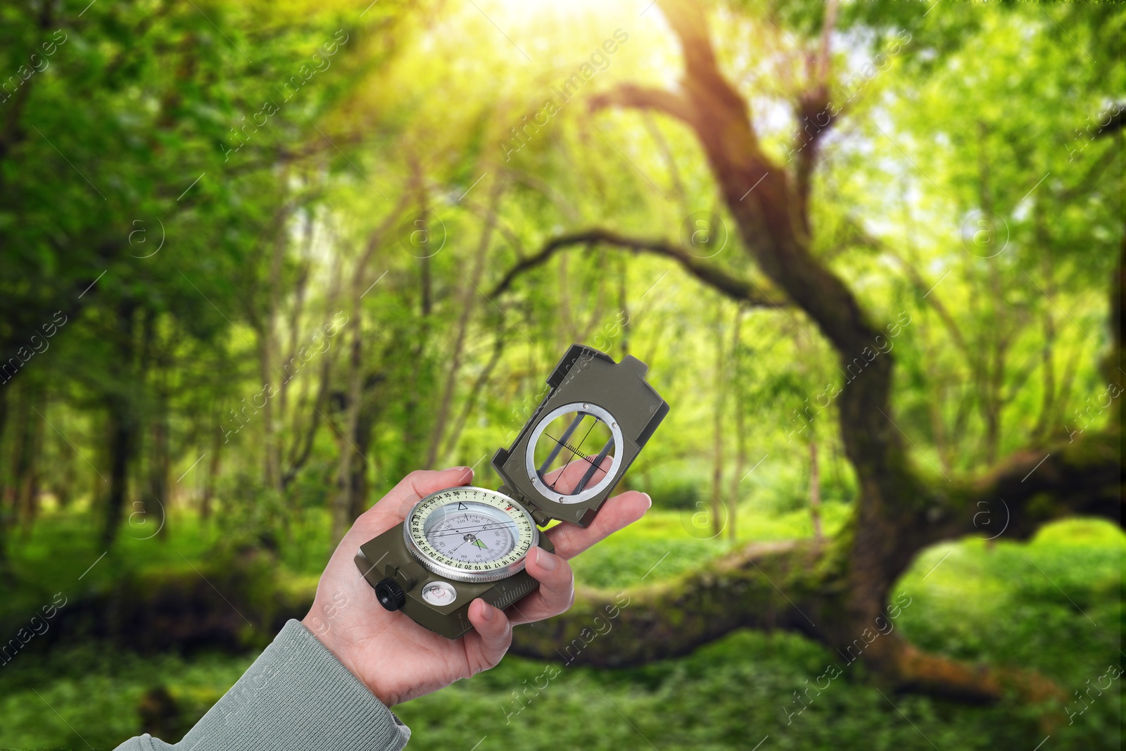 Image of Woman holding compass in sunlit forest, closeup