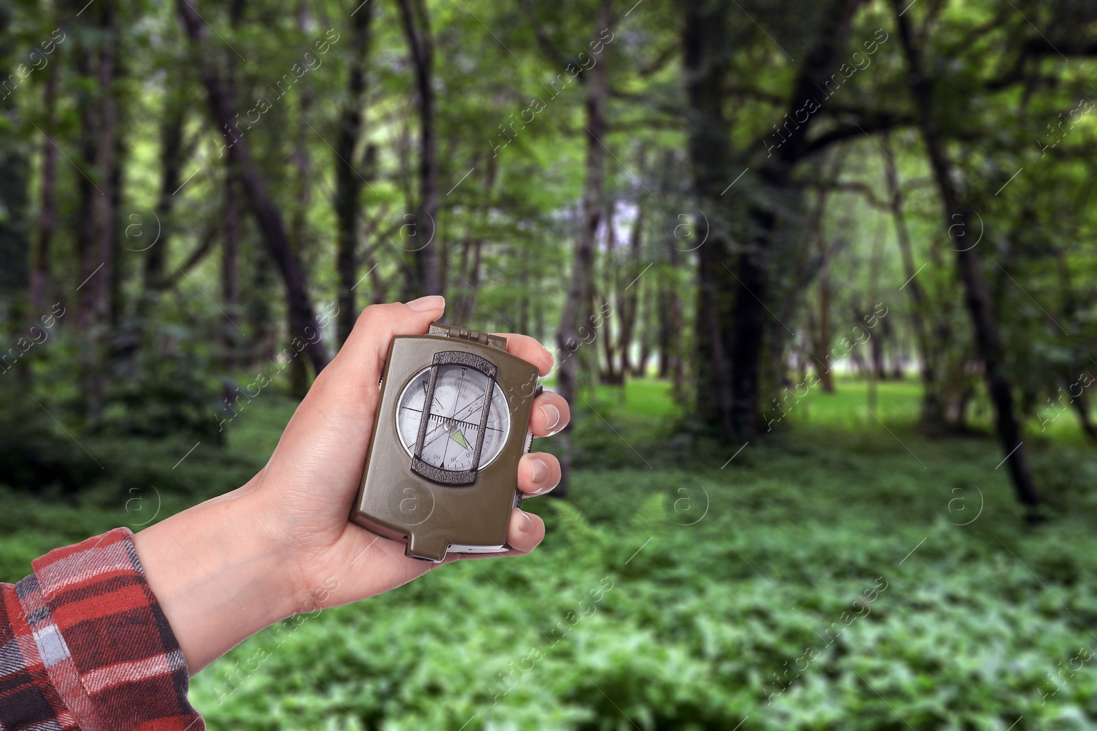 Image of Woman holding compass in lush forest, closeup