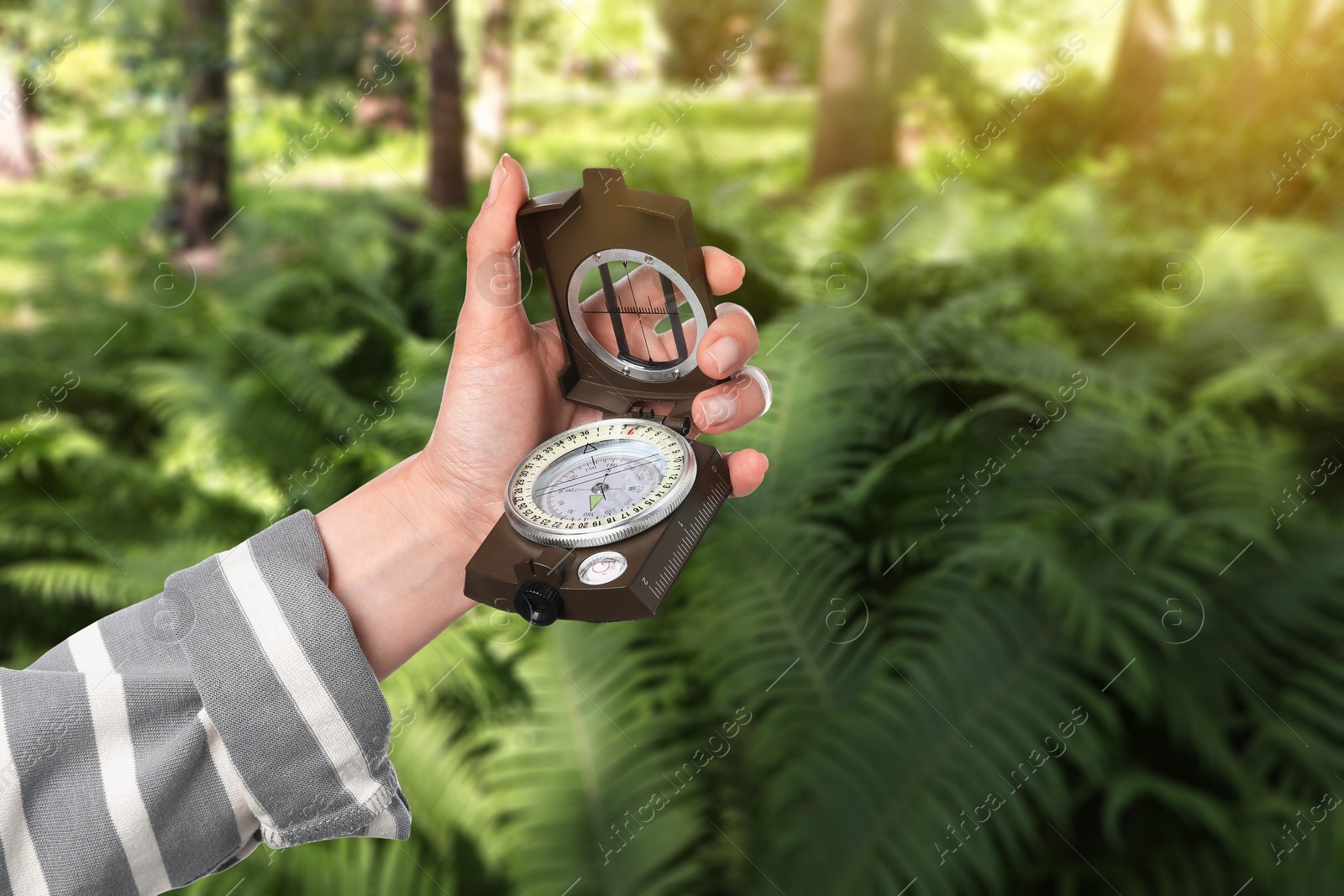 Image of Woman holding compass near fern in forest, closeup