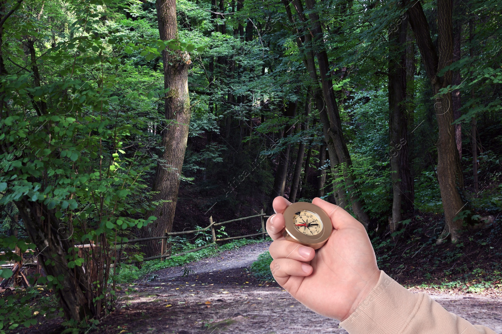 Image of Man holding compass on pathway leading to forest, closeup