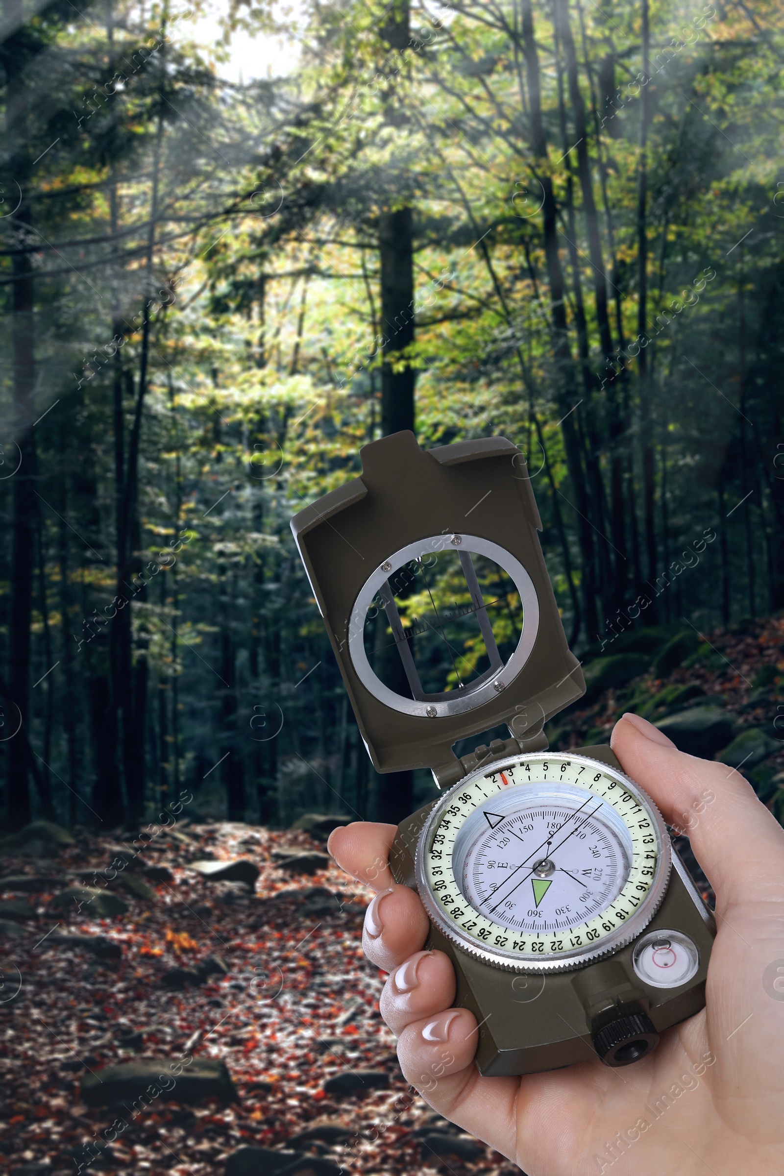 Image of Woman holding compass in lush forest, closeup