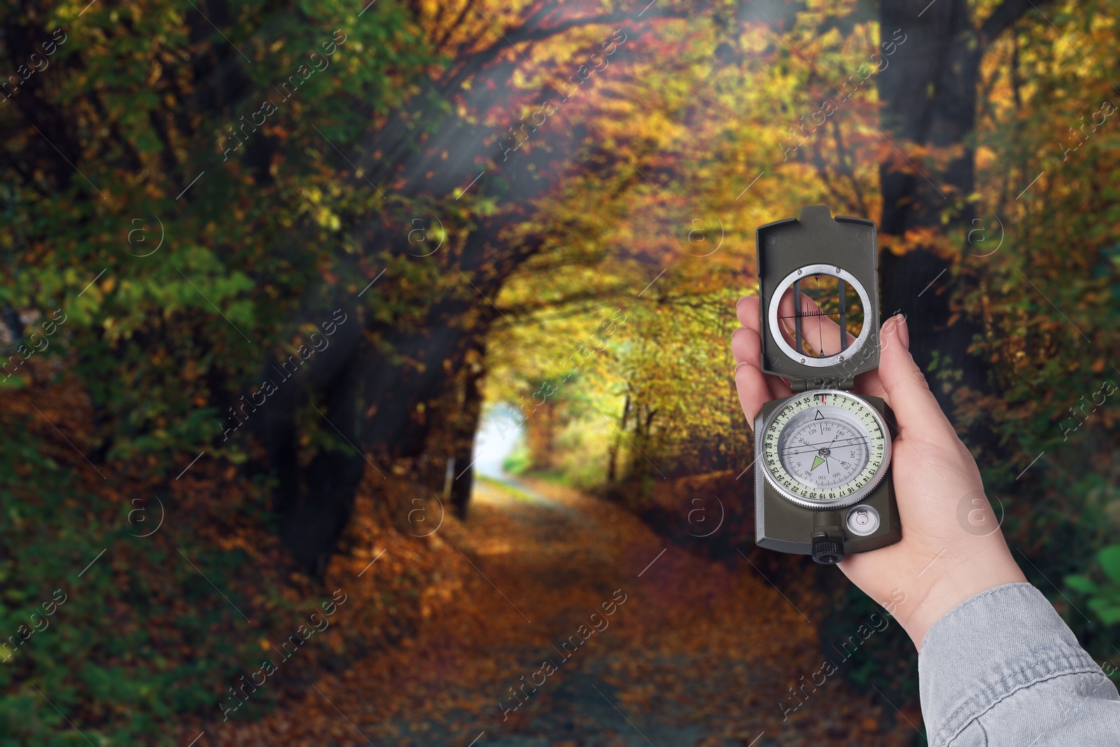 Image of Woman holding compass on pathway in autumn forest, closeup