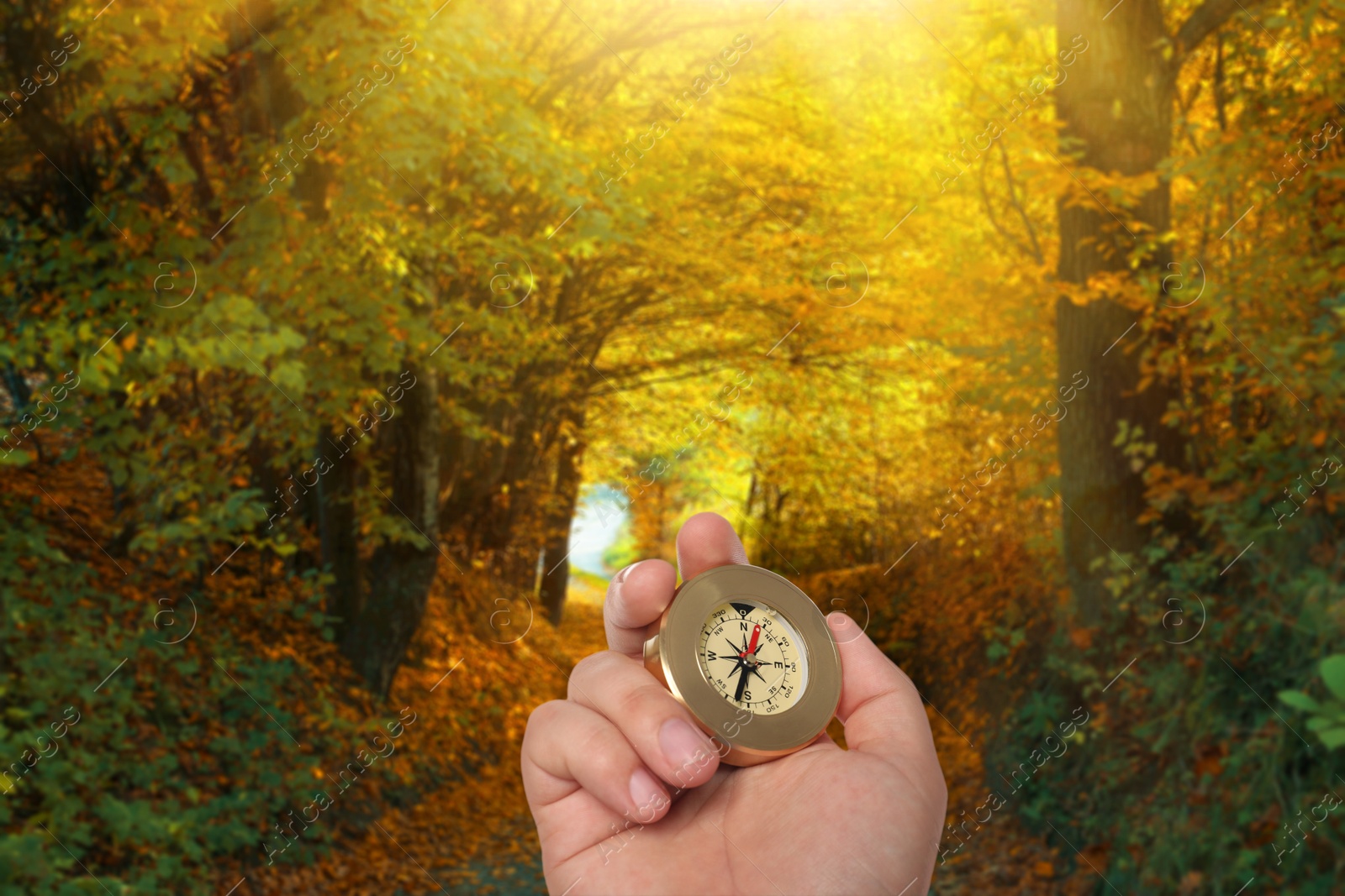 Image of Man holding compass on pathway in autumn forest, closeup