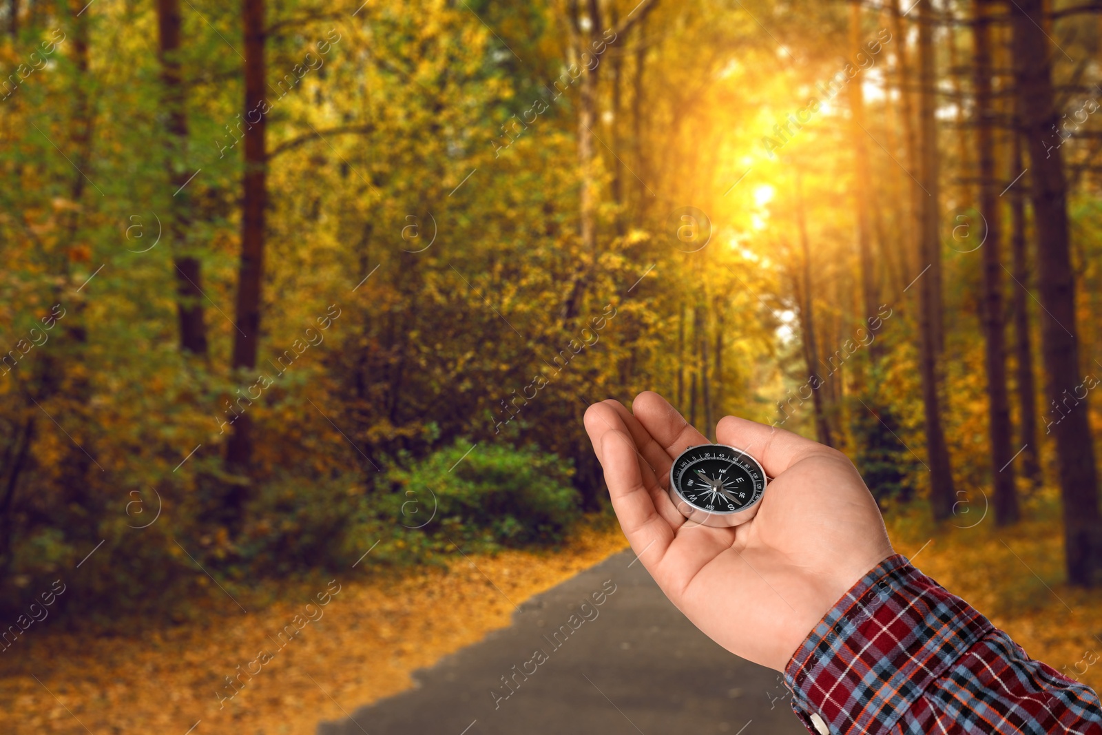 Image of Man holding compass on pathway in autumn forest, closeup