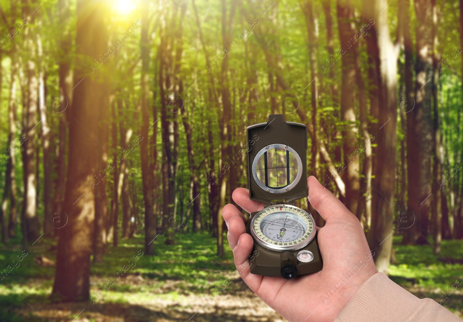 Image of Man holding compass in lush forest on sunny day, closeup