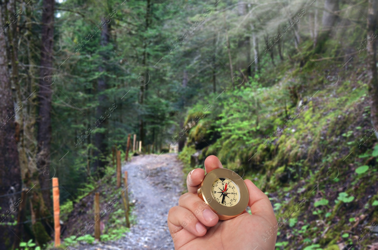 Image of Man holding compass on pathway in mountain forest, closeup