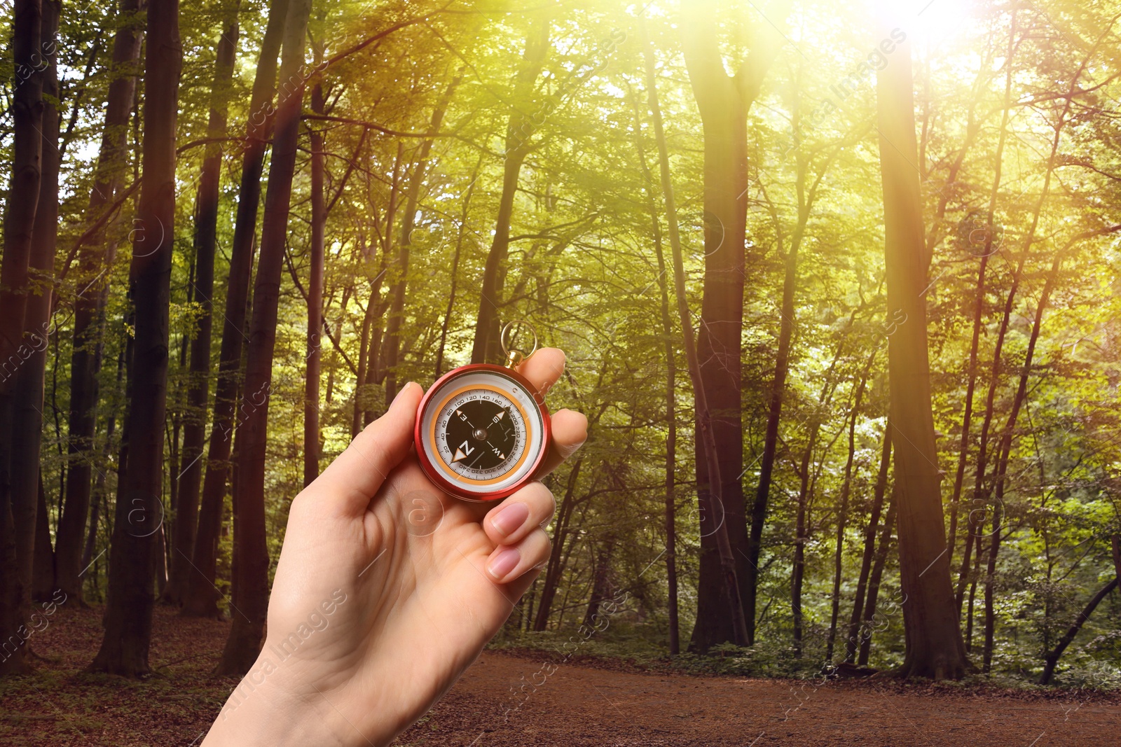 Image of Woman holding compass near pathway in sunlit forest, closeup