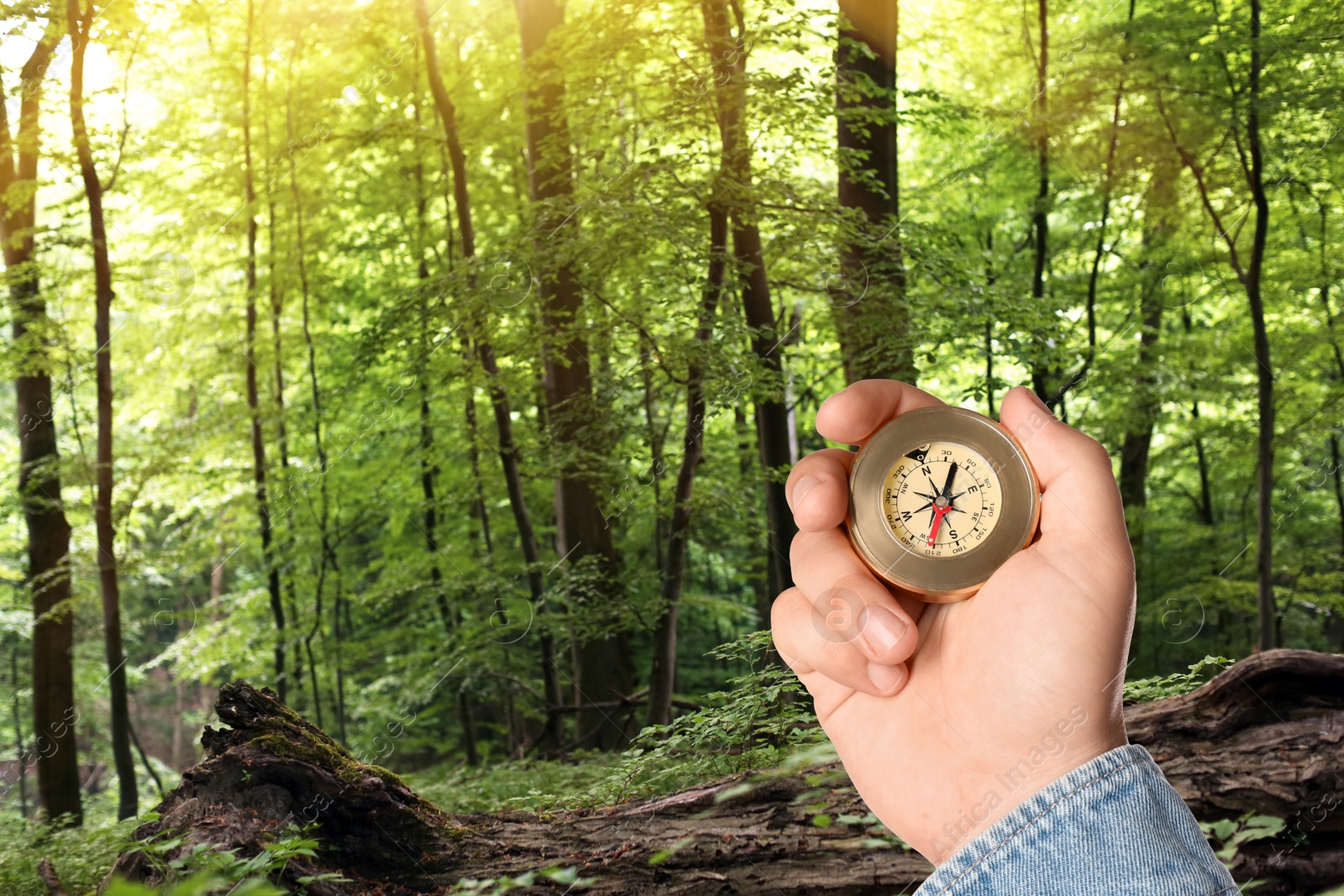 Image of Man holding compass in lush forest, closeup