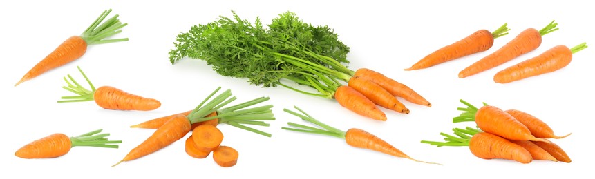 Image of Many fresh ripe carrots isolated on white, set