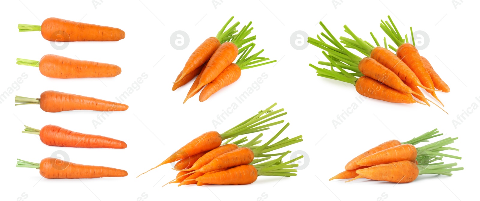 Image of Many fresh ripe carrots isolated on white, set