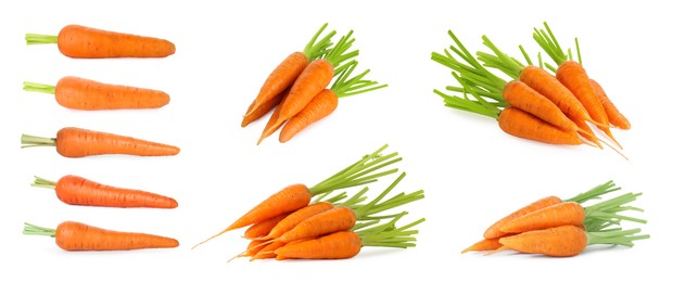 Image of Many fresh ripe carrots isolated on white, set